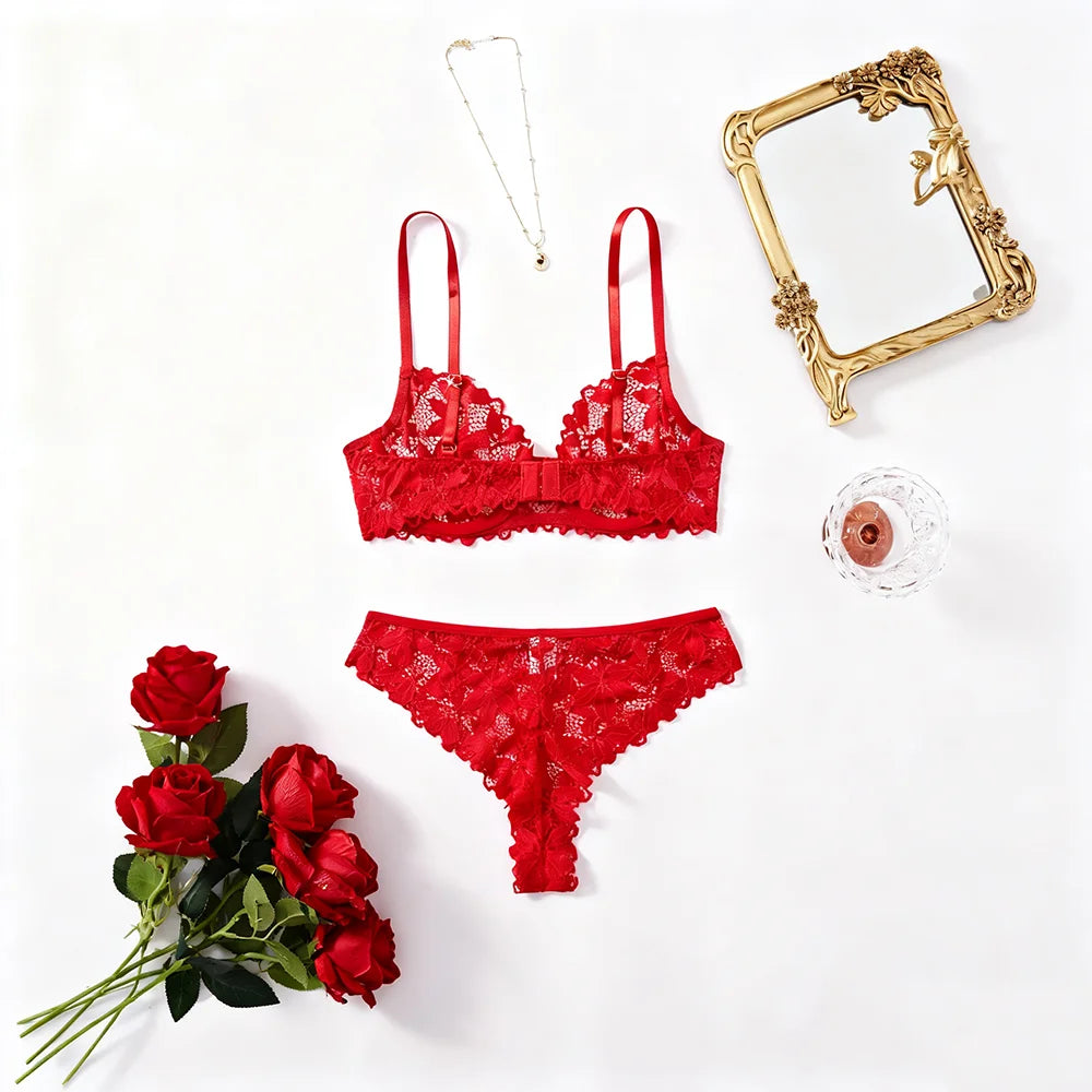 Fast Ship USA Women's Sexy Lace Bra Panty Set Sheer Mesh Lingerie for Ladies