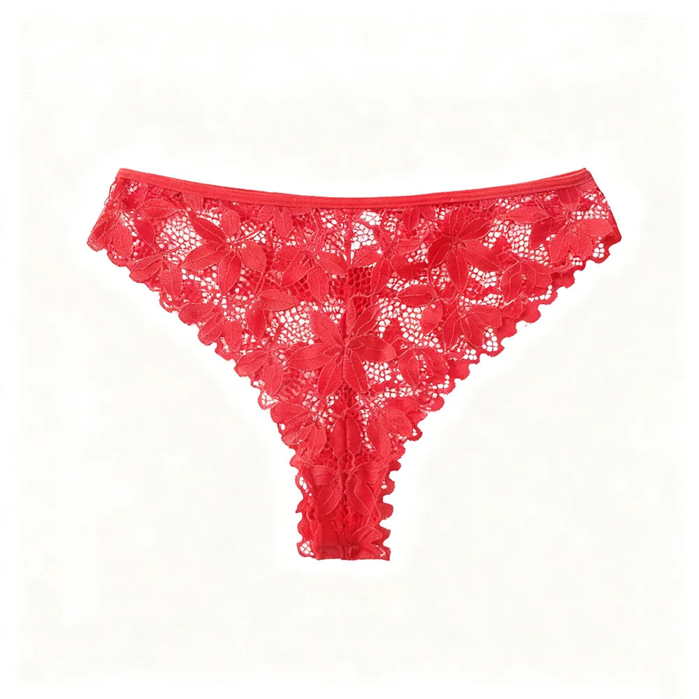 Fast Ship USA Women's Sexy Lace Bra Panty Set Sheer Mesh Lingerie for Ladies