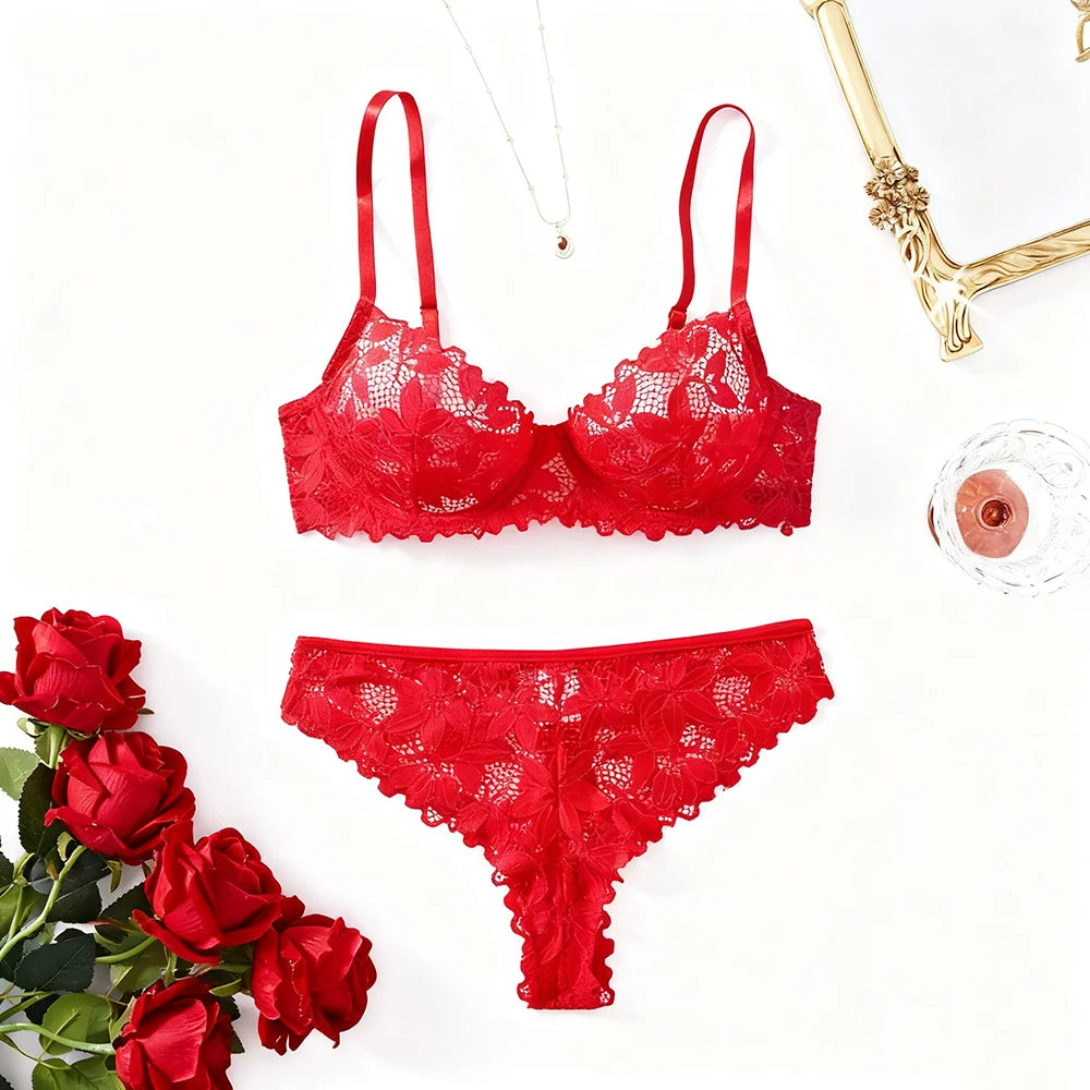 Fast Ship USA Women's Sexy Lace Bra Panty Set Sheer Mesh Lingerie for Ladies