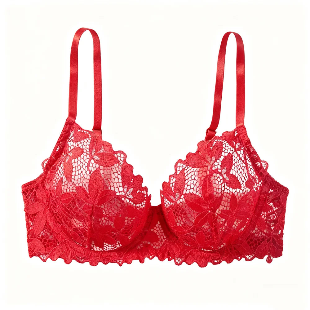 Fast Ship USA Women's Sexy Lace Bra Panty Set Sheer Mesh Lingerie for Ladies
