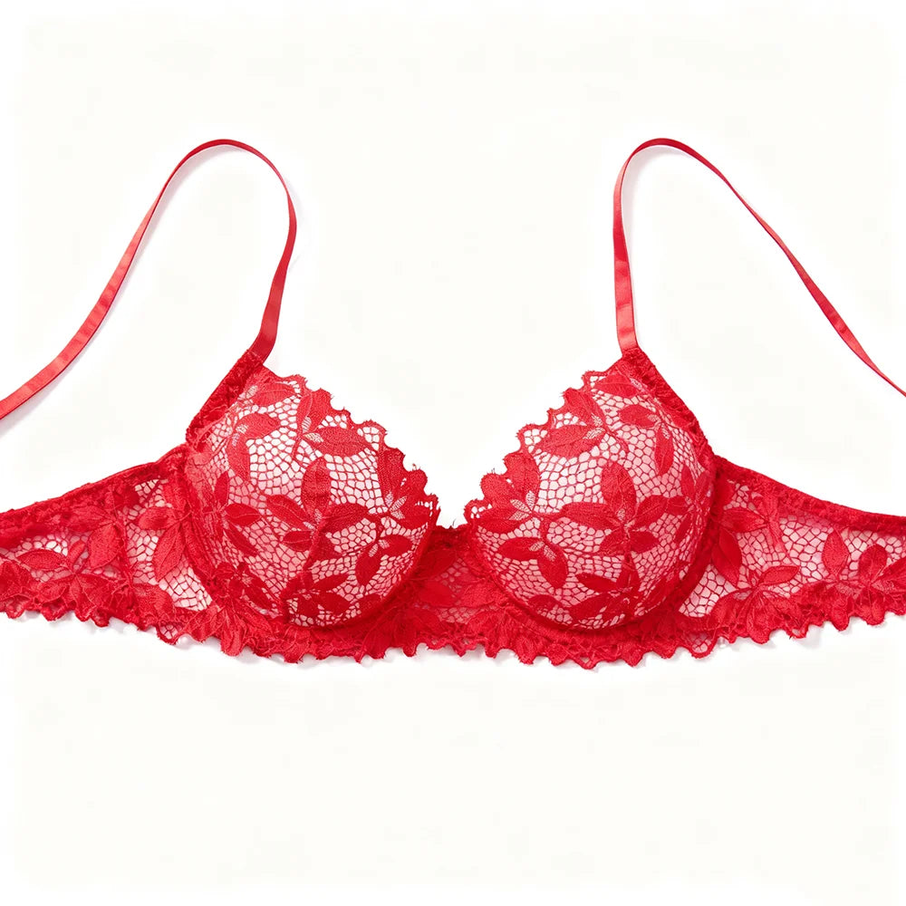 Fast Ship USA Women's Sexy Lace Bra Panty Set Sheer Mesh Lingerie for Ladies