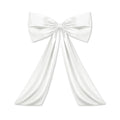 Large Bow Ribbon Tie