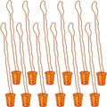12pcs Shot Cup Necklace